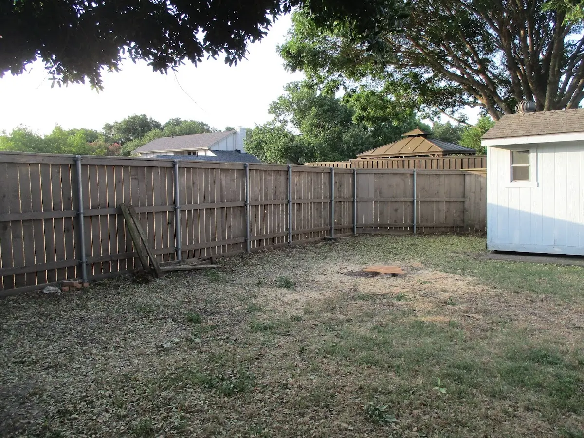Cleared yard after professional tree removal in Estell Manor