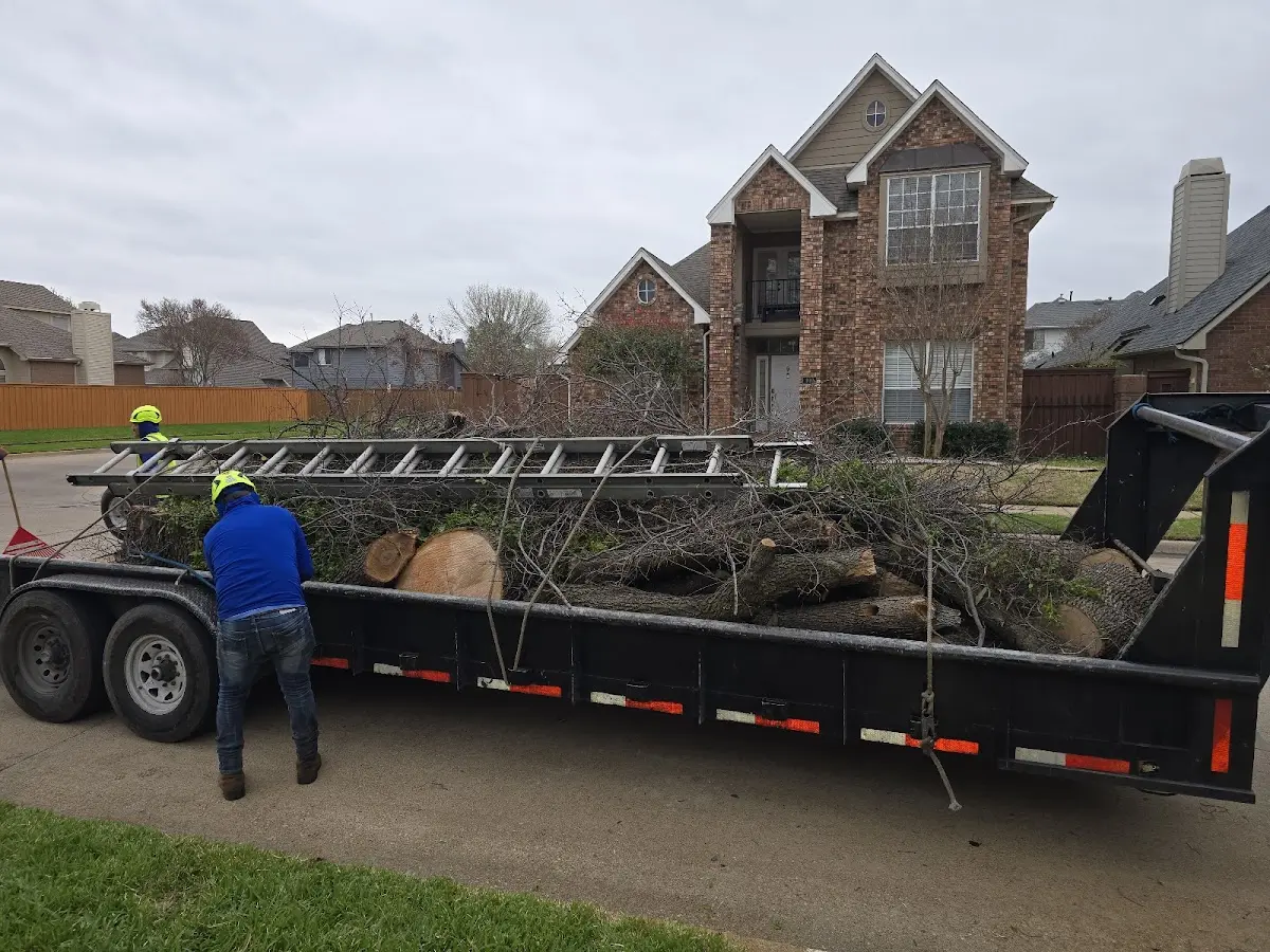 Expert Tree Fertilization with proper safety equipment in Estell Manor